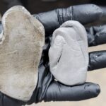 Decontamination using clay bar prior to paint correction for ceramic coating